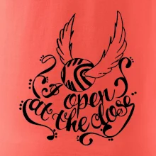 Harry - Zlatá strela