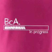 In progress titul BcA. bakalár / bakalárka umenia