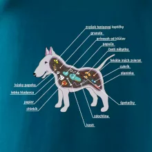 Tajomstvo bulteriéra s popisom (Pecka Design)