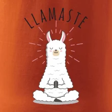Yoga Llamaste Yoga Llamaste