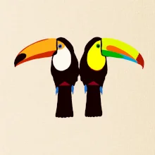 Dva barevní tukani (Moňas)