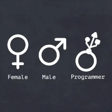 Female male programmer
