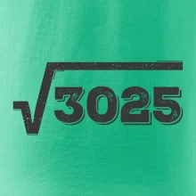 Narodeniny odmocniny 55