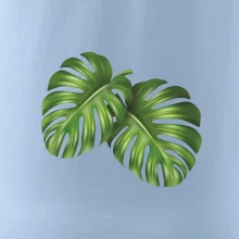 Monstera - dva listy