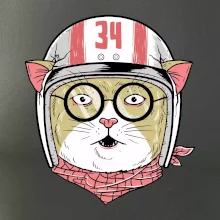 Moto mačka Moto mačka