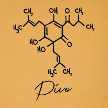 Barová chémia - pivo