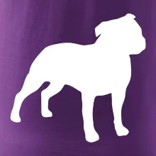 Americký stafordšírsky teriér Na prsníku