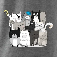 Mačky, čo nie sú tak úplne veselé