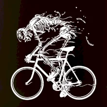 Cyklo kostra Cyklo kostra