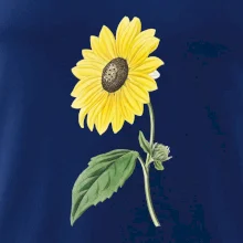 Slnečnica otočená