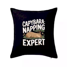 Capybara Napping Expert
