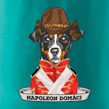 Napoleon domáci kríženec