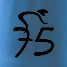 Cyklista oslavuje sedemdesiatpäťpäťky (75)