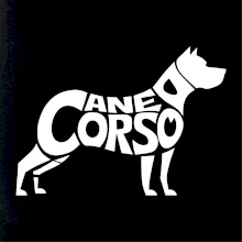 Cane corso nápis v tele