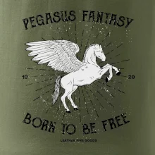 Pegasus fantasy