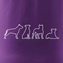 Americký stafordšírsky teriér v rôznych pozíciách