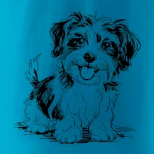 Havanský psík skica