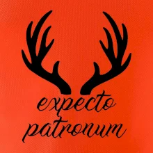 Harry - Expecto patronum