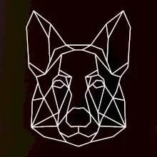 Nemecký ovčiak - Geometria