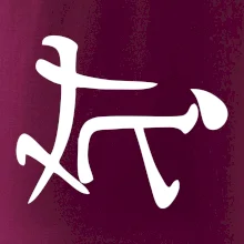 Čínsky symbol - súlož