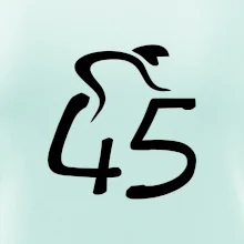 Cyklista oslavuje štyridsaťpäťku (45)