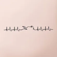 Moto EKG Moto EKG