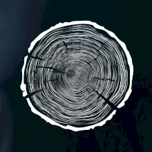 Letokruhy 100 bez veku