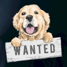 Zlatý retriever - šteniatko wanted