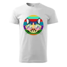 Mačka pri farebnom západe