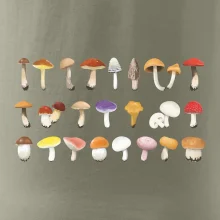 Huby farebné Huby farebné