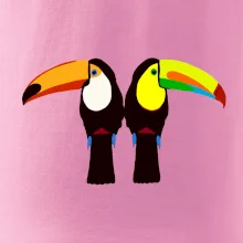 Dva barevní tukani (Moňas) Dva barevní tukani (Moňas)