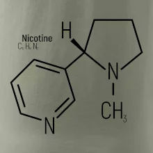 Molekulárna štruktúra Nikotín