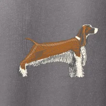 Vintage Springer spaniel