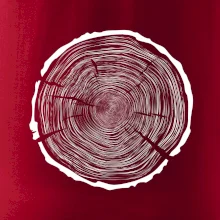 Letokruhy 100 bez veku Letokruhy 100 bez veku