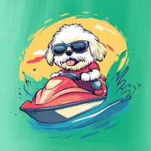 Lhasa Apso na vodnom skútri