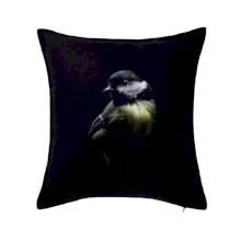 Sýkorka koňadra čierna fotka