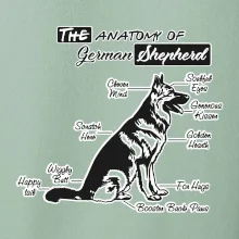 Nemecký ovčiak - Anatómia