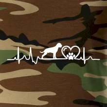 Nemecký boxer EKG Nemecký boxer EKG