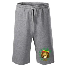 Rasta Lion Rasta Lion