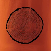 Letokruhy 55 bez veku