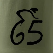 Cyklista oslavuje šesťdesiatpäťku (65)