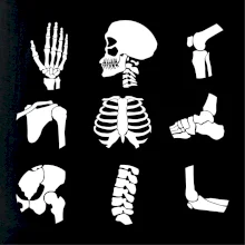 Röntgen - ikony Röntgen - ikony