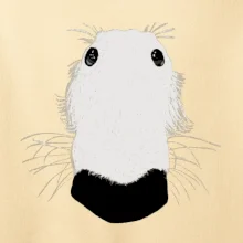 Barzoj čumák (Moňas)