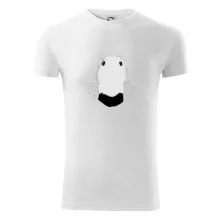 Barzoj čumák (Moňas)