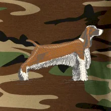 Vintage Springer spaniel