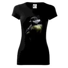 Sýkorka koňadra čierna fotka Sýkorka koňadra čierna fotka