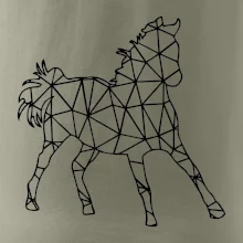 Geometria - kôň