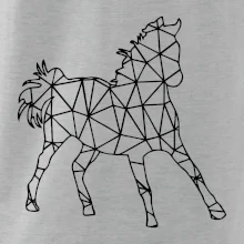 Geometria - kôň Geometria - kôň