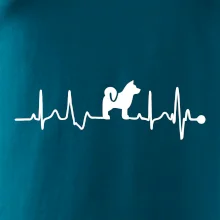 Shiba-Inu EKG
