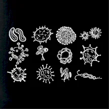 Set baktérií Set baktérií